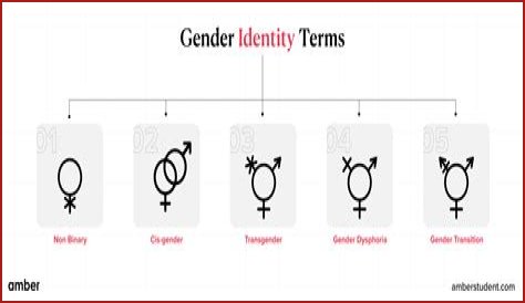 Understanding Gender Identity: The Case Of Brittney Griner's Biological Sex